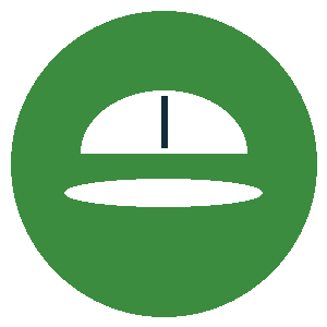 HSE Training icon